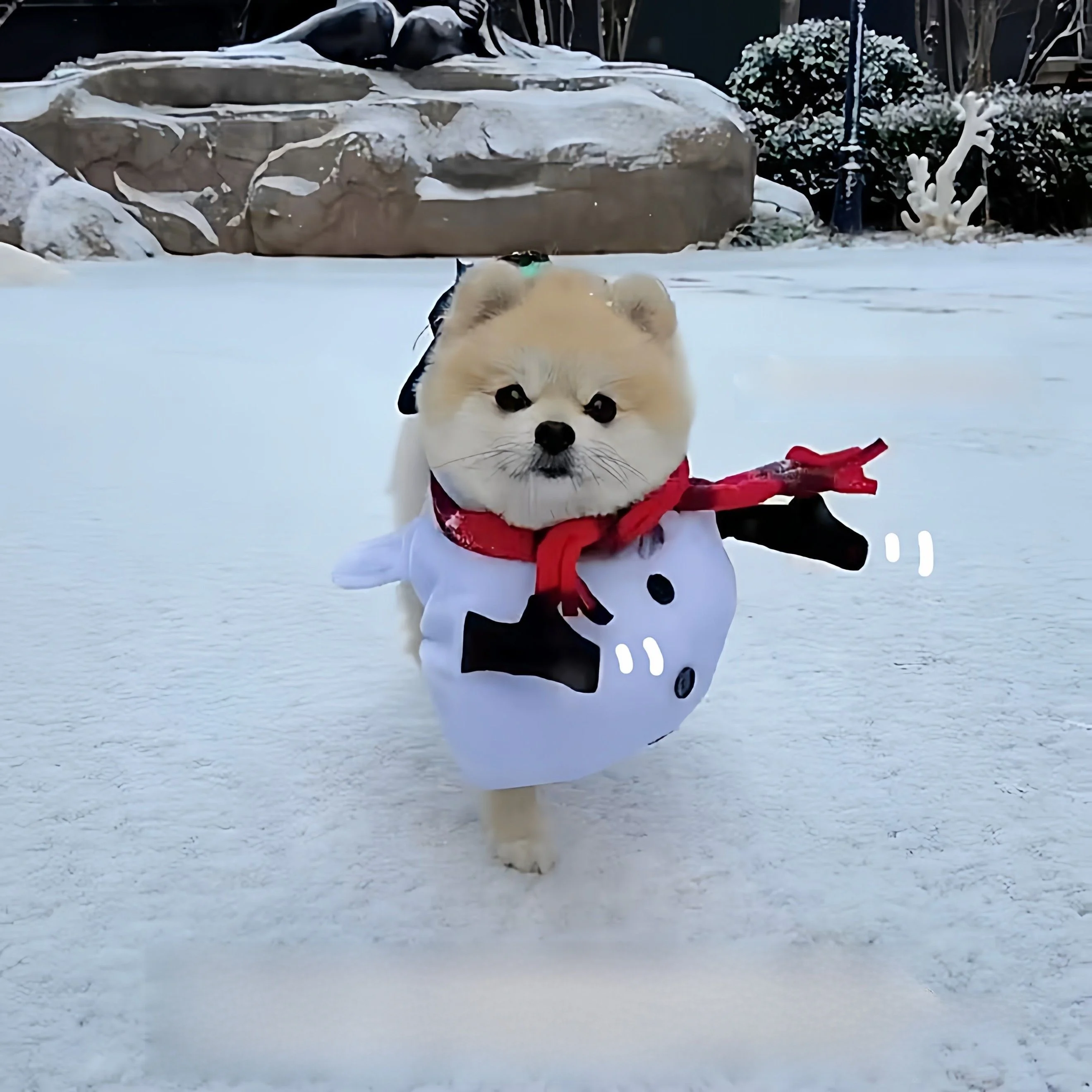 

Winter Dog Jaet Little Deer Snowman Outfit Cute Warm Decorative Pet Clothes for Small Dogs Outdoor Apparel