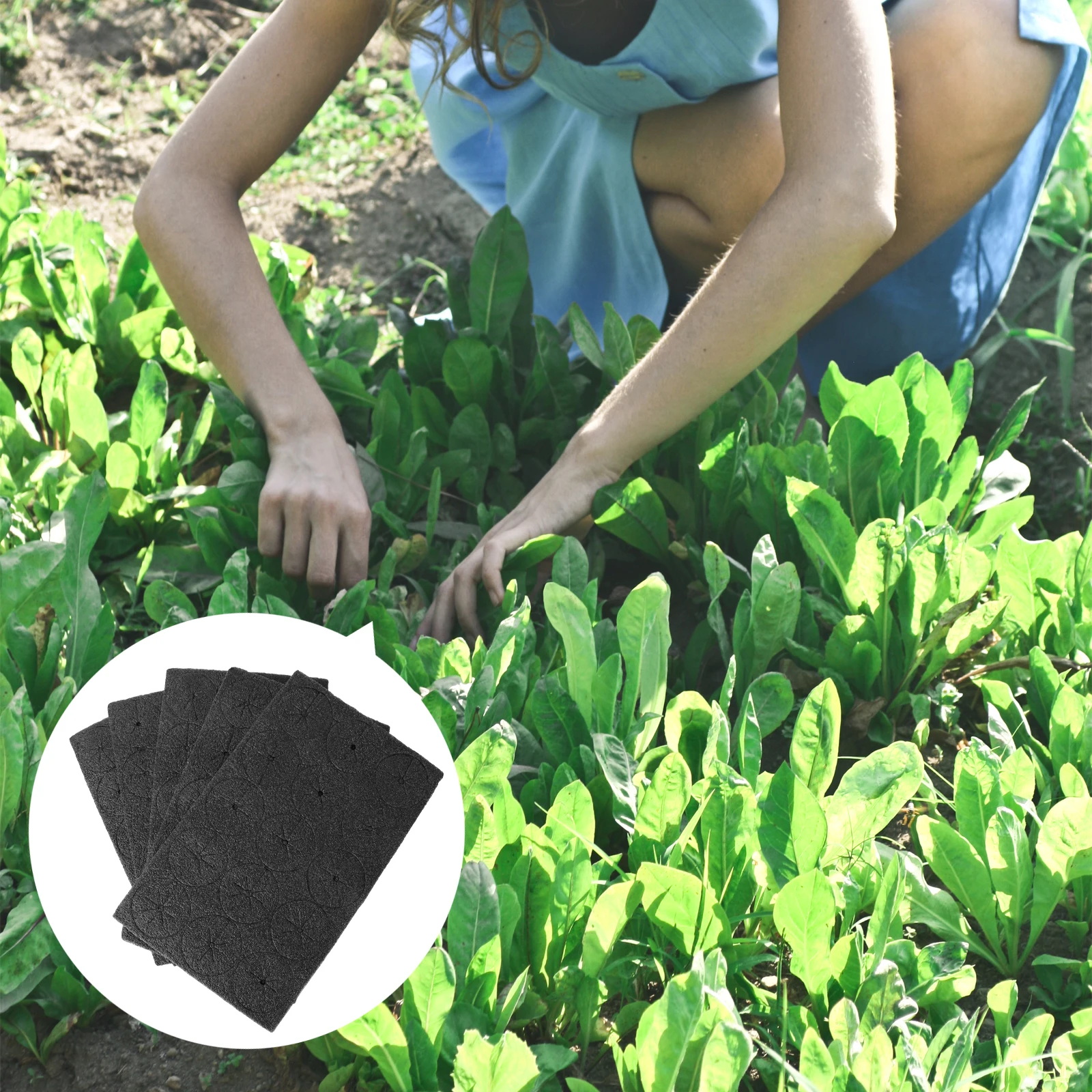 

75 Pcs Round Foam Sponge Germination Grow Soilless Cultivation Tool for Greenhouse Vegetable Planting Base