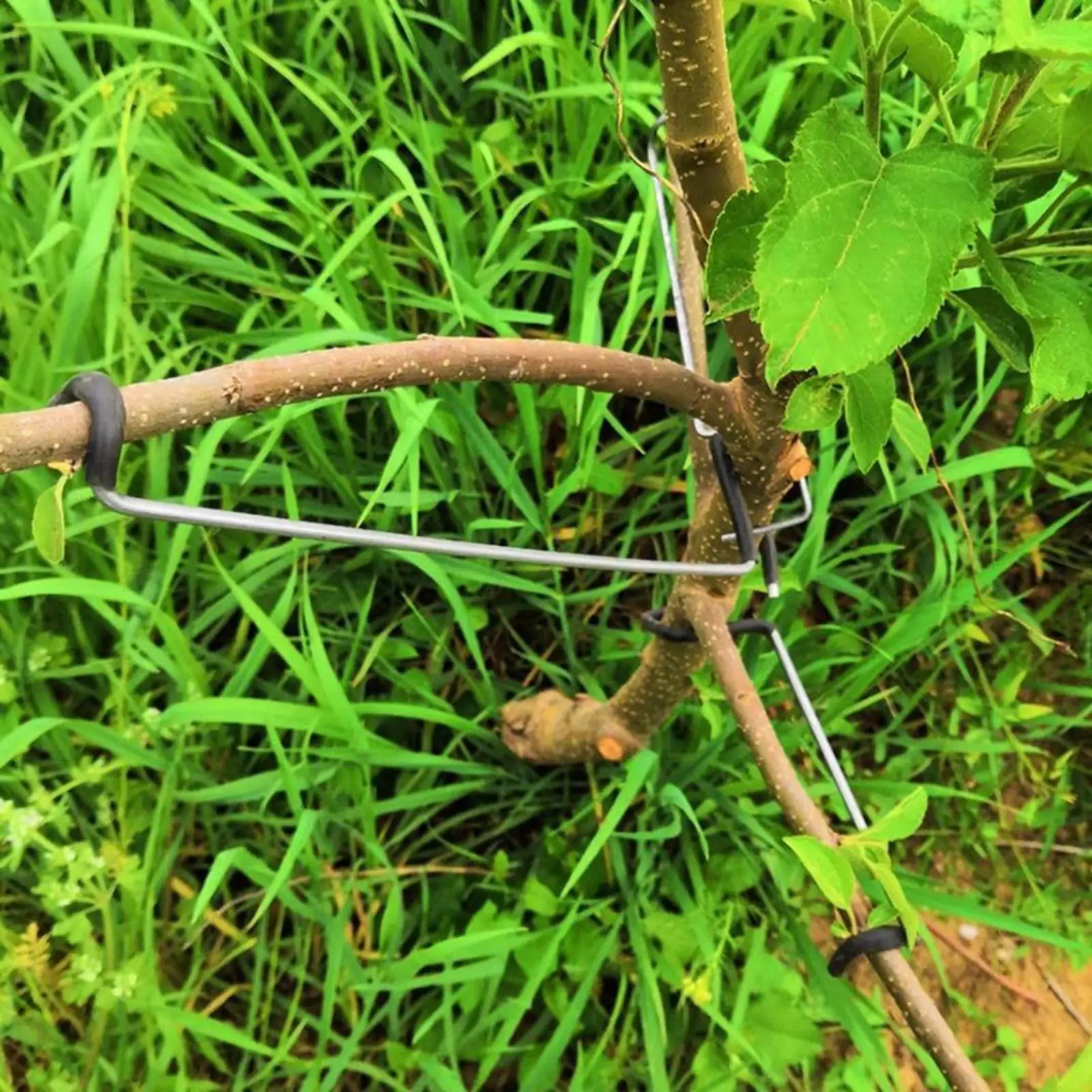 20Pcs Fruit Tree Limb Spreaders Brace Strong for Garden Yard Hook Farm Tools Bending Tool for Adjusting Angles Branch Puller
