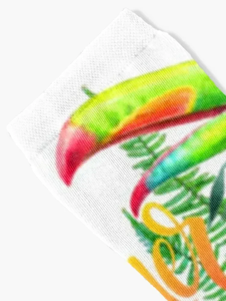 Summer Toucan And Flowers Socks christmas stocking kids Male Socks Women's