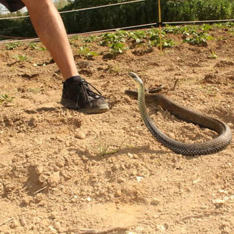 Prank de cobra com clipe de corda, Jogos ao ar livre, Em uma corda, Que persegue pessoas brinquedo, Presente engraçado paródia