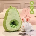 avocado