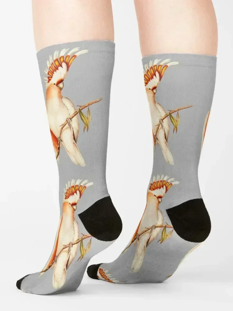 Australian Major Mitchell Cockatoo Bird Illustration Socks Lots Run soccer anti-slip anti-slip Socks For Women Men's