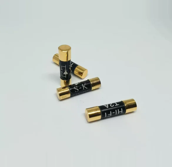 5x20mm Oil-Immersed Slow Blow Fuse 5N Pure Silver Gold Nano Coated  Audio Preamp AmplifierTube Amp CD DAC