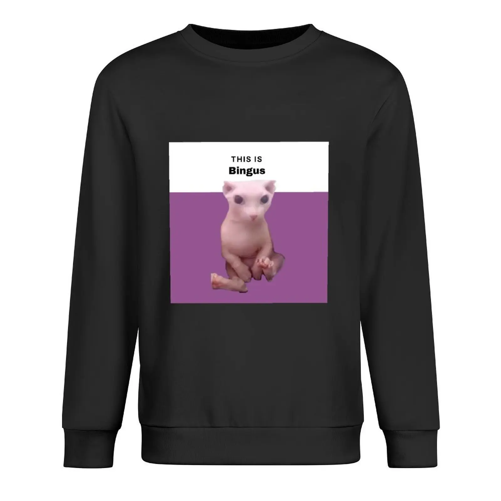 

This is Bingus Pullover aesthetic clothing tracksuit mens clothes japanese style new in sweatshirts