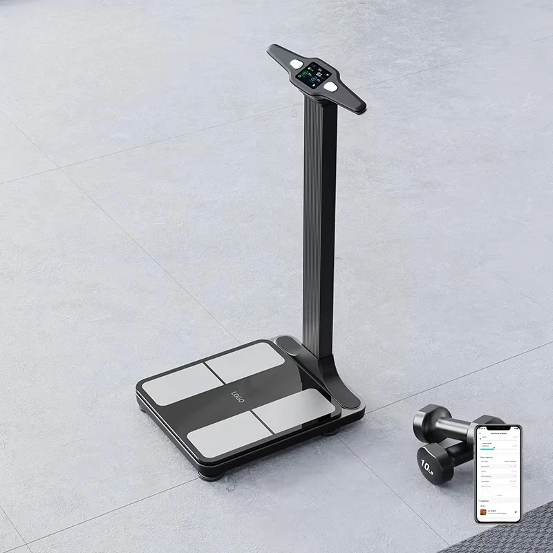 Smart scale composition monitor, main body high-precision digital fat scale