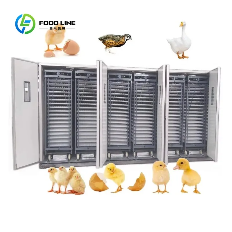 Customized 90720 Pcs Eggs Multi-stage Incubator Tunnel-Style AC/DC Fully Automatic Digital Farm Equipment