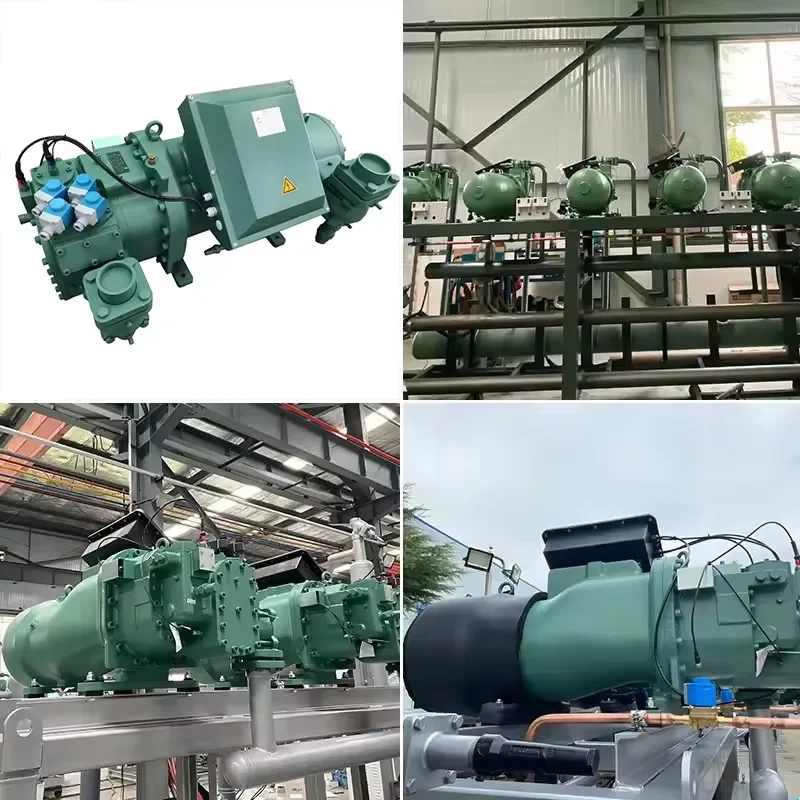 Custom Refrigeration Equipment Large Capacity High Efficiency Industrial Screw Compressor Unit