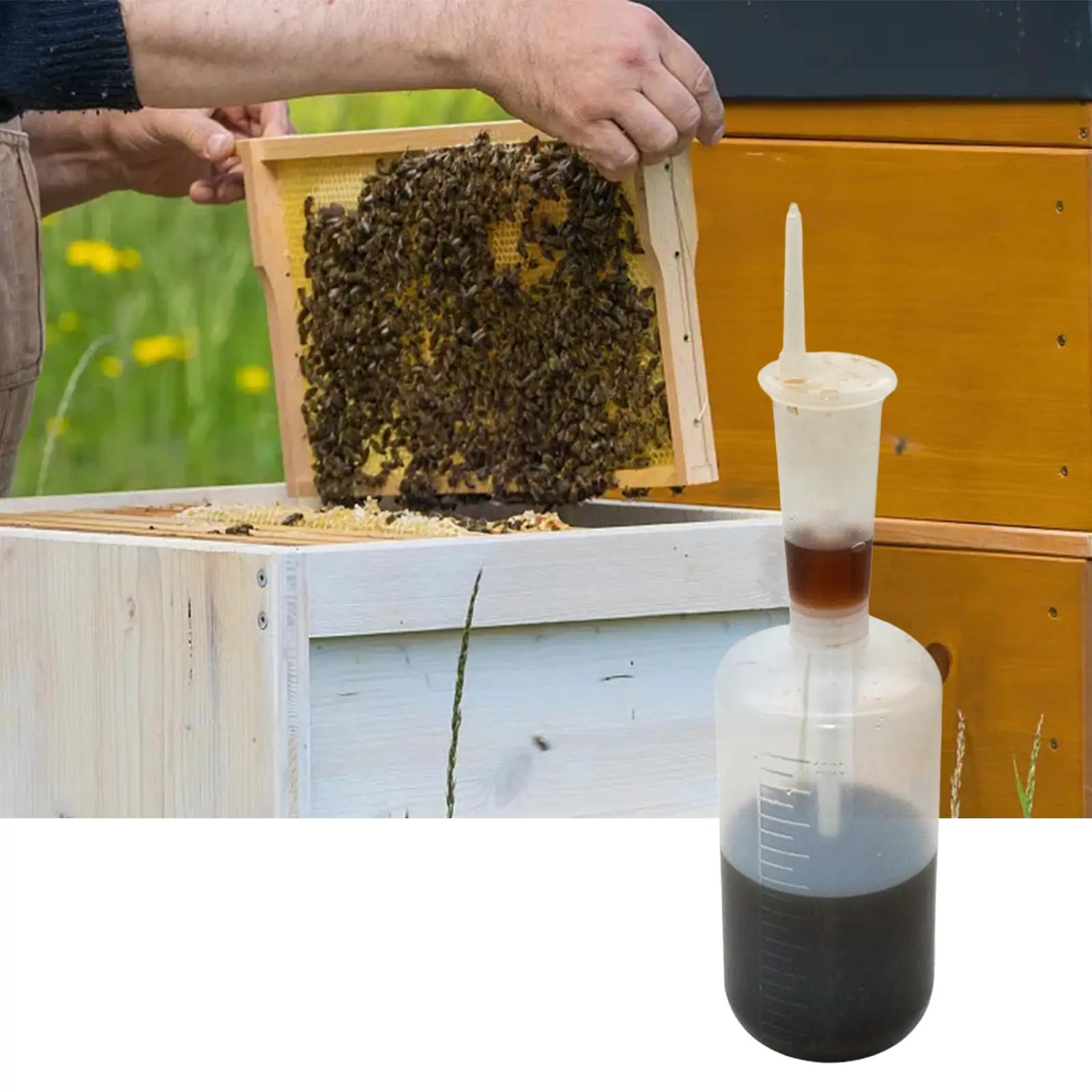 Oxalic Acid Dosage Syringe for Beekeeping Portable 1000ml Dispensing Liquid Dropper Transparent Squeeze Bottle for Bee