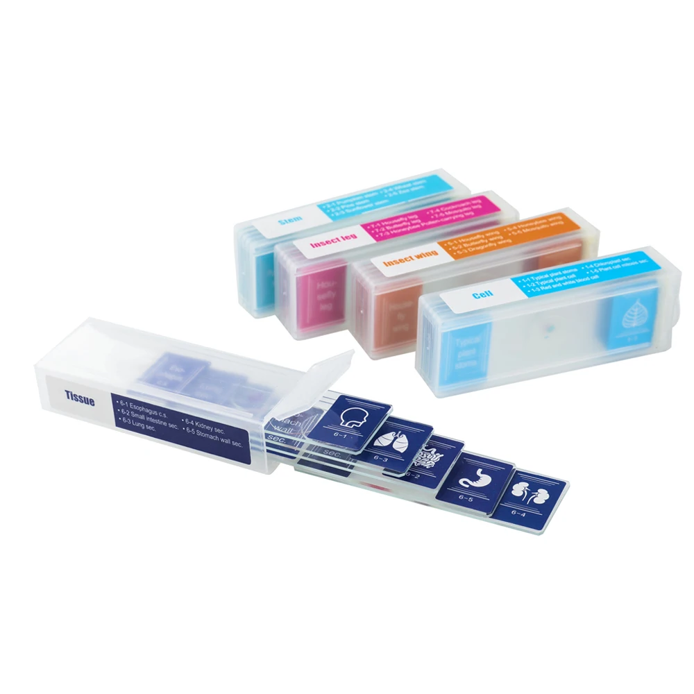 50-1000X Microscope MICROSCOPIO, 35 Piece of Colorful Microscope Specimens Biological Specimen Slides Primary Secondary Gifts