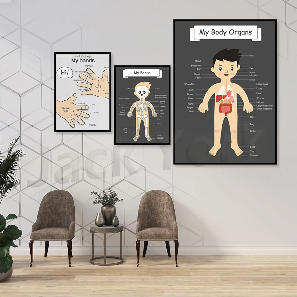 The body organs, For kids anatomy, human body Kids printable poster, Kindergarten Activity