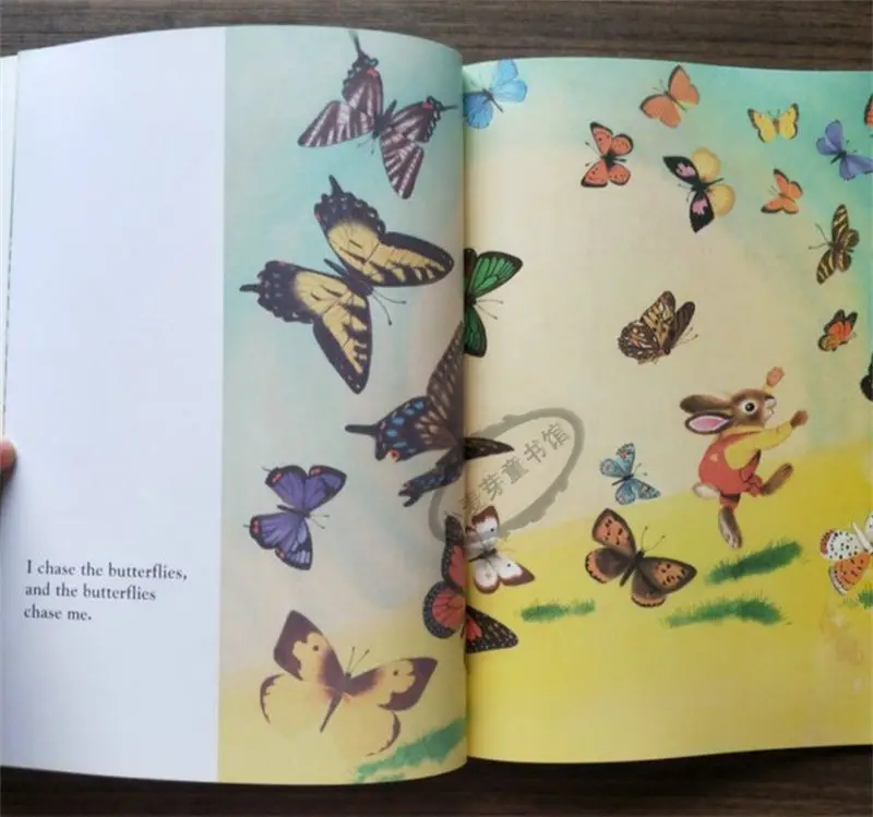 I Am A Bunny - A Natural Beauty Children's Introduction To English - English Picture Book