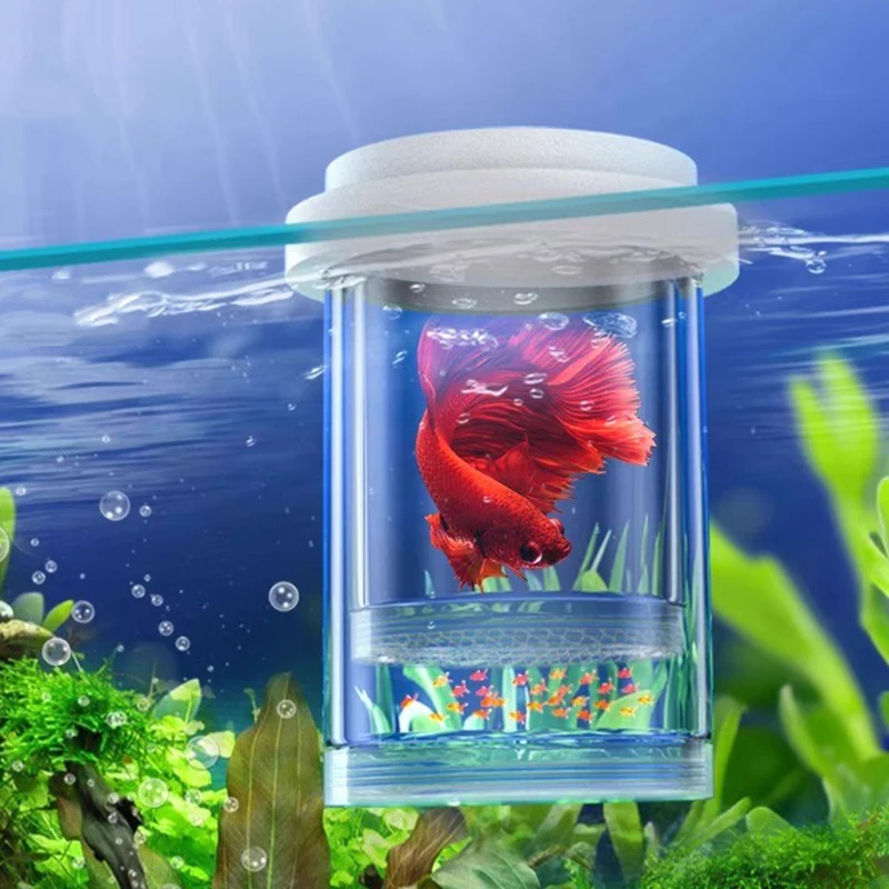 Multi-Function In-Tank Hatchery Box, Isolation Nursery for Guppy, Betta & Zebrafish Fry, Detachable & Easy Clean