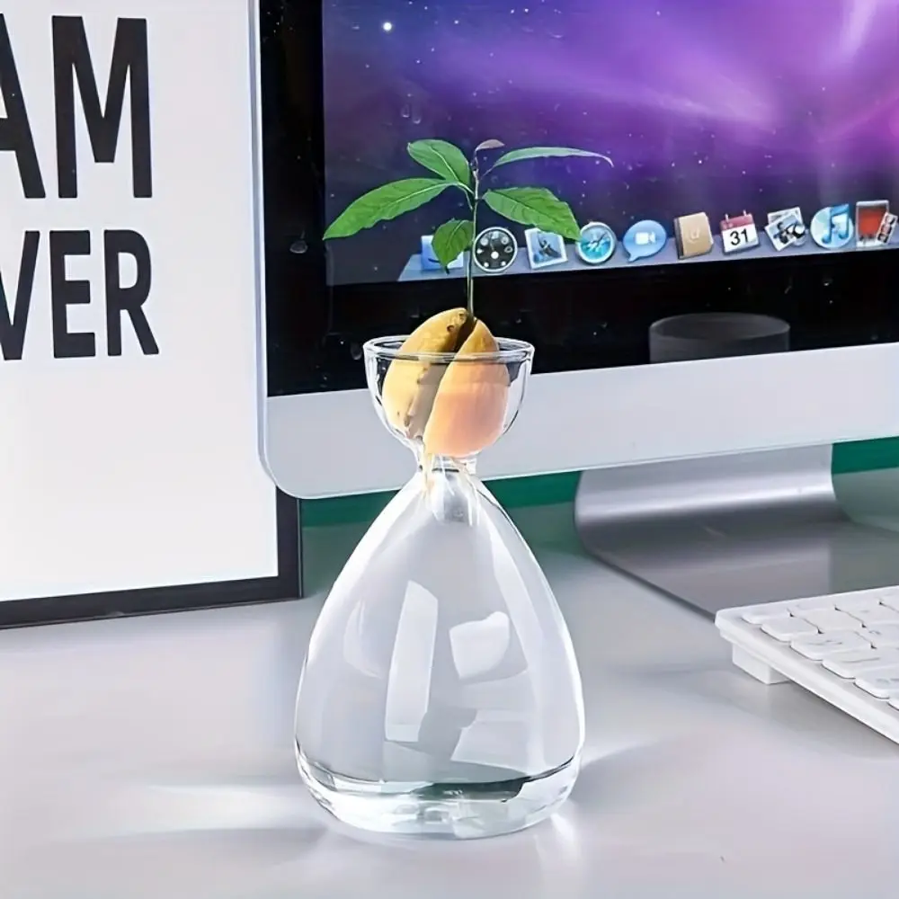 Small Avocado Planting Vase Simple Heat-resistant Avocado Hydroponic Bottle Exquisite Transparent Breeding Container Indoor