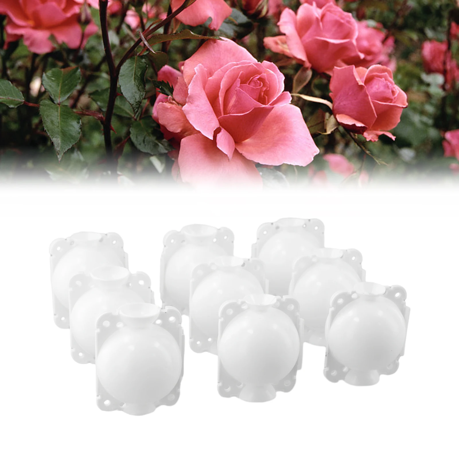 

10pcs Plant Rooting Grafting Box Plastic 5/8cm High Pressure Propagation Ball Garden Graft Box For Roses Climbers Fruit Trees