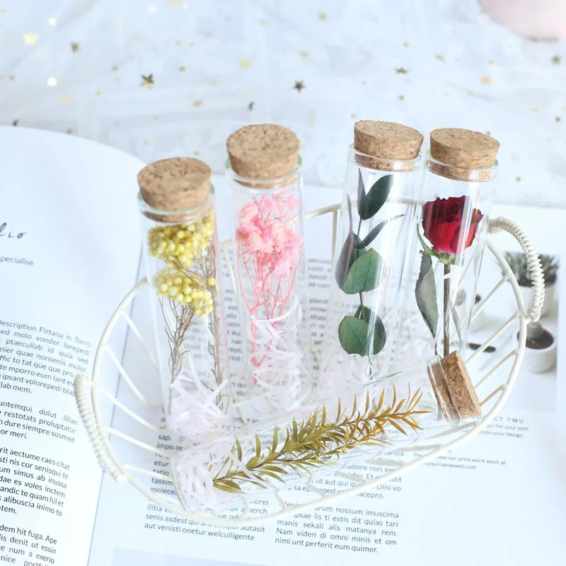 Mini bouteille de Press avec tube à essai en verre, fleur séchée, rose, gypsophile importale, compagnon créatif, cadeau de la journée de Léon, fleur Sechee