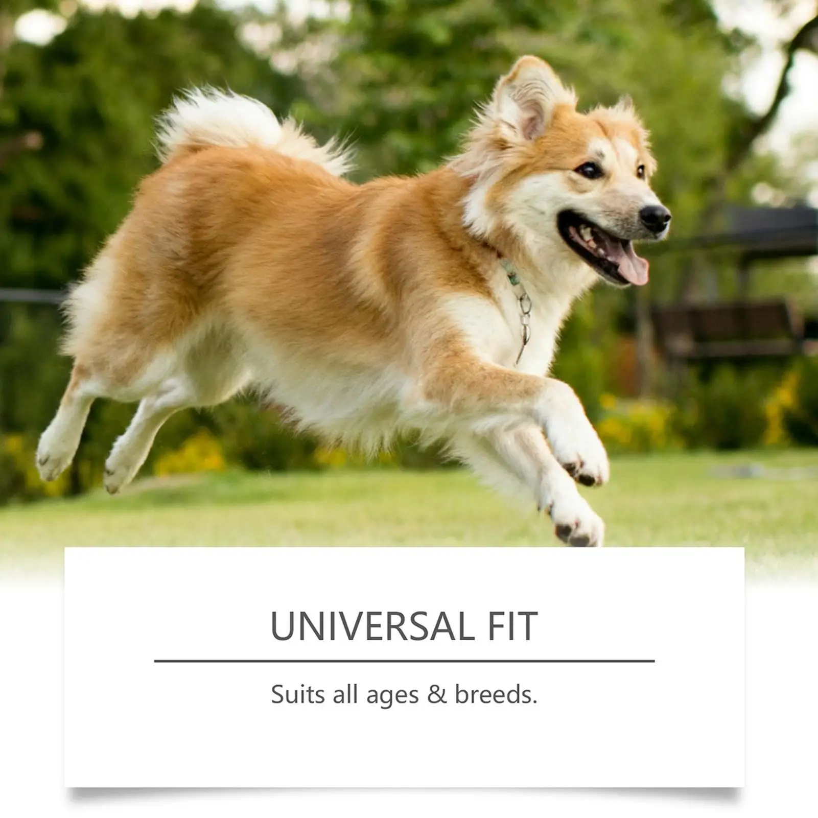 

Жевательные средства для здоровья домашних животных, 200 г, полезные лакомства, натуральный уход за кожей, здоровье пищеварительной кожи собак, мягкие жевательные средства после еды, сезонные изменения, еда