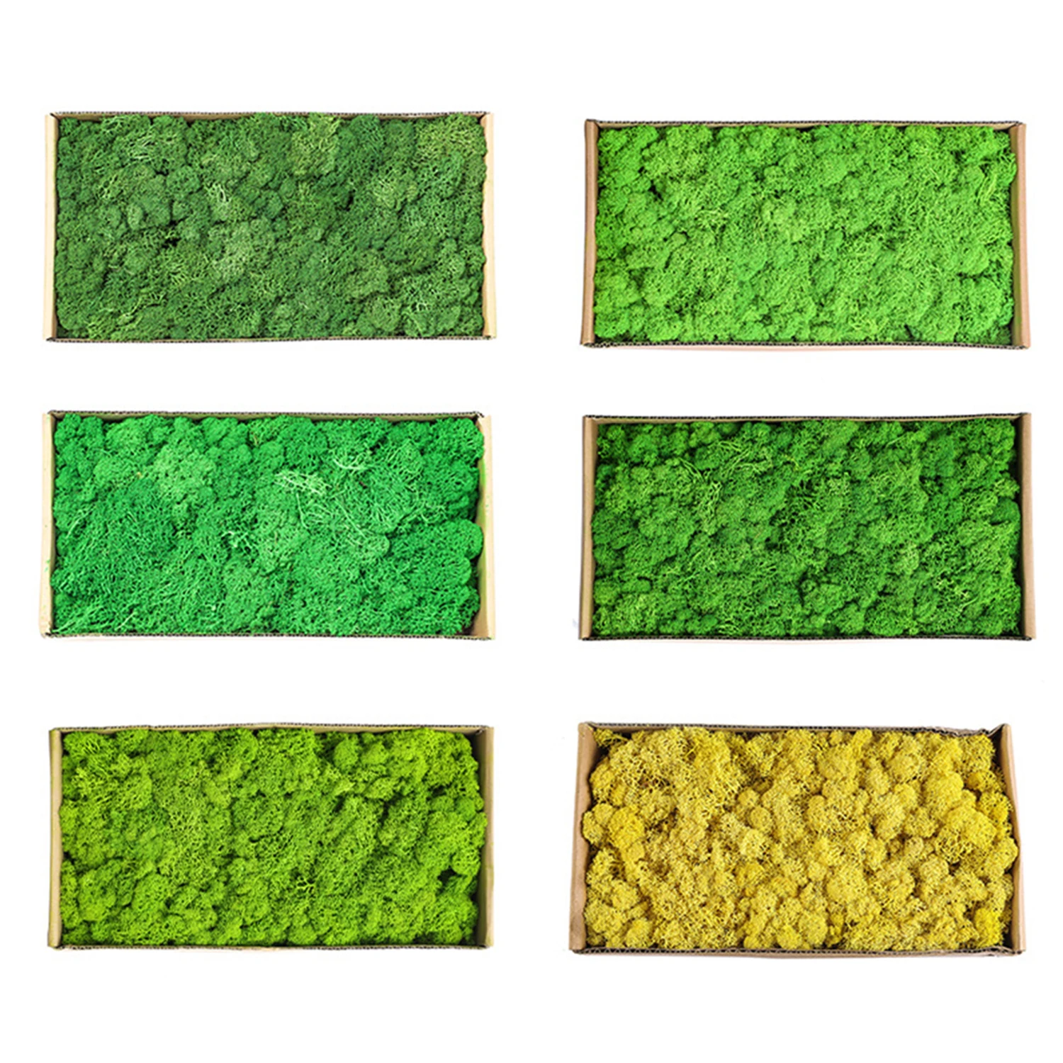 Ewiges Leben Moos DIY Bastelbedarf Gras Künstliche Grünpflanzen Heim Zimmer Garten Deko Mini Landschaft Kunstgras 20/40/100g – Detail 16