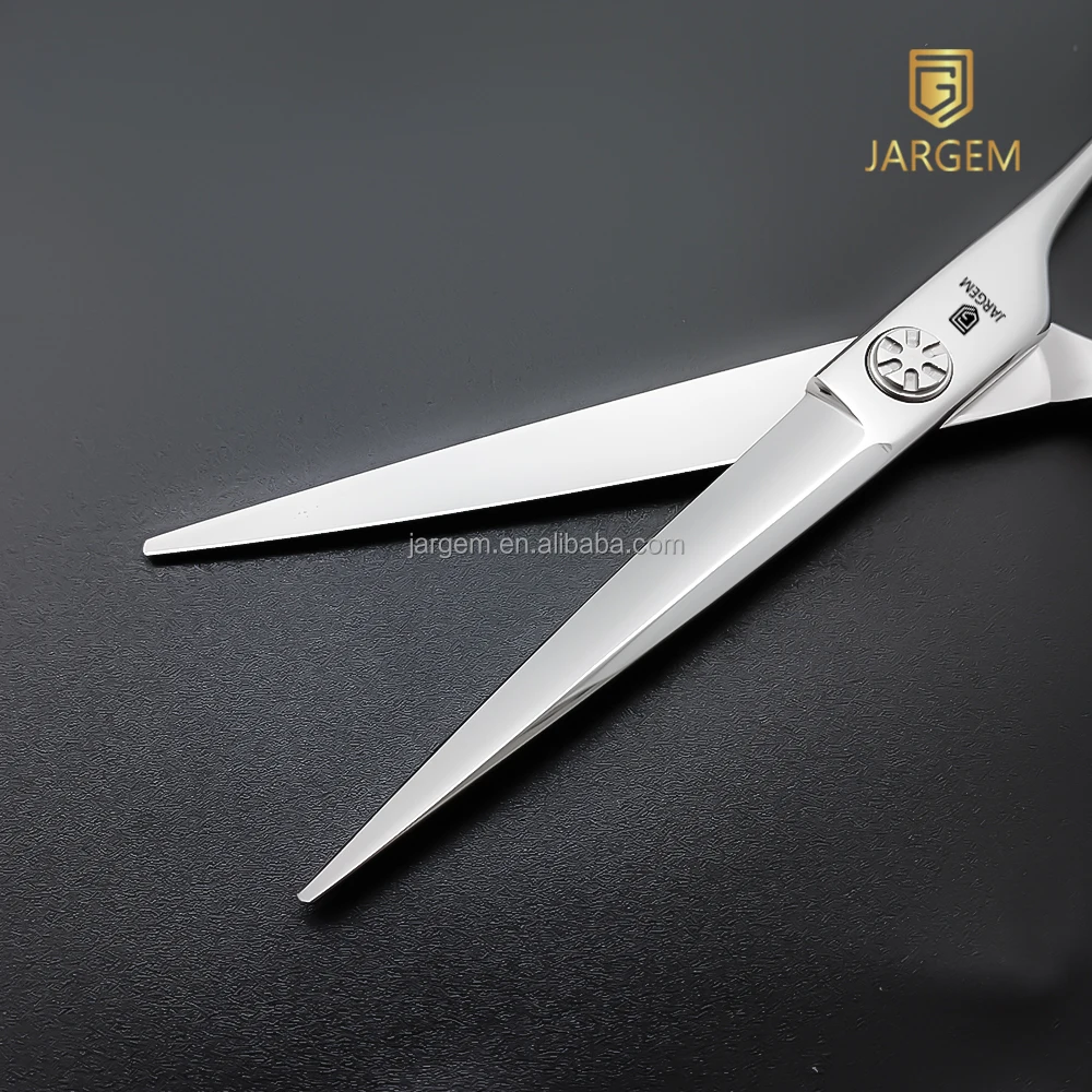 T op Reviews Hair Scissors Scissors 25 Teeth Professional Hairdressing Scissors for Barber Japan VG10