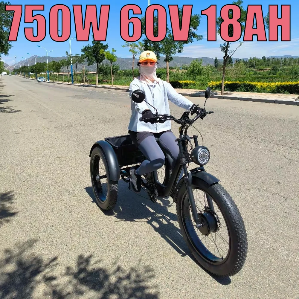 Electric Tricyle Cargo 750W48V18AH Removable Lithium Battery 24Inch Tire  3Wheel Leisure Electric Bike Mileage 50km Adult Ebike