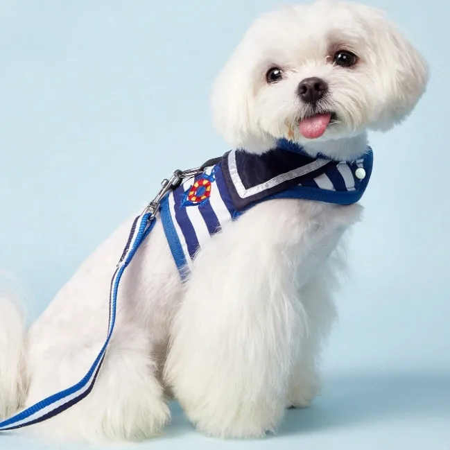 Dog rope traction strap small and medium-sized dog chest harness multiple sizes to choose from safety belt anti slip