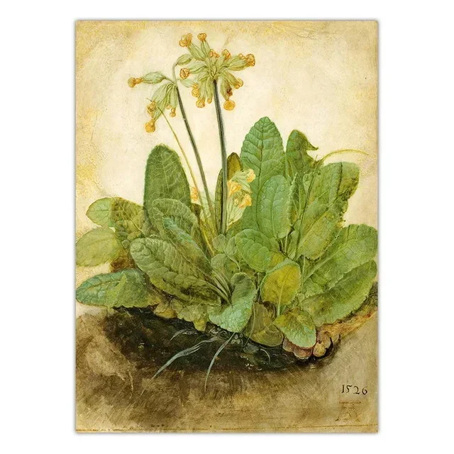 Albrecht Durer Style Bird Plant Animal Insect Canvas Painting Wall Art Poster Print for Bedroom Modern Home Decor