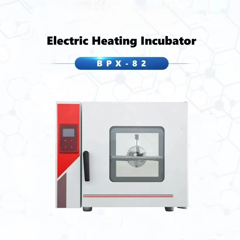 Constant temperature high-quality fan type safe use microbial cultivation electric heating box