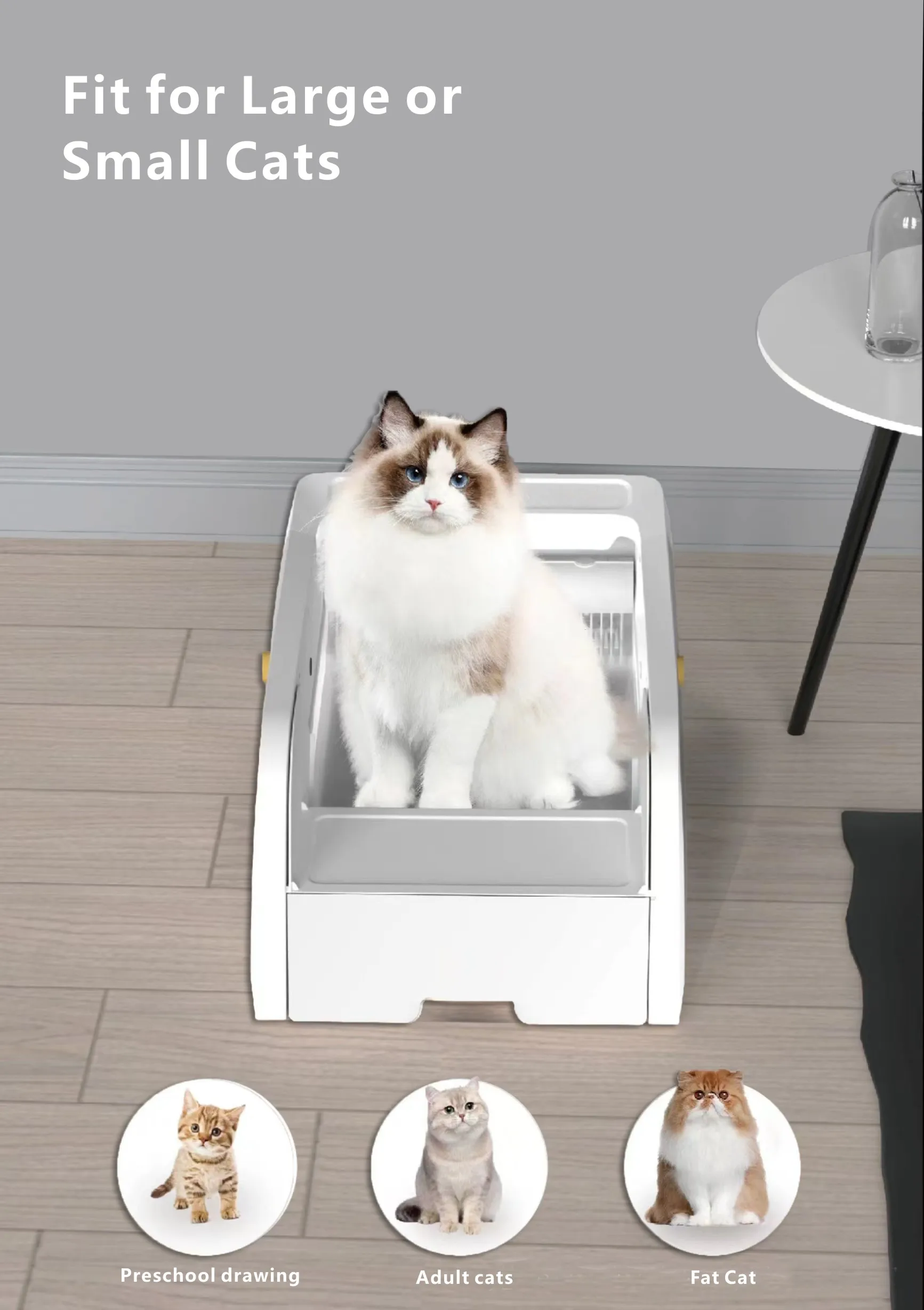 #39 Cat Litter Trays List of Top Picks