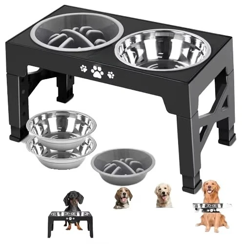 2 in 1 Slow Feeder Bowl Lifting Stainless Steel Elevated Cat and Dog Feeder