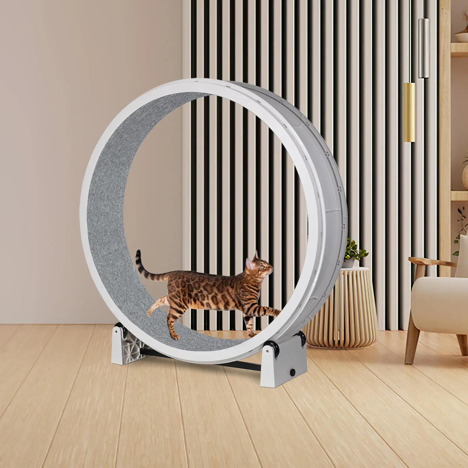Thumbnail 4 - #56 Best Hamster Exercise Wheels to Buy In 2026