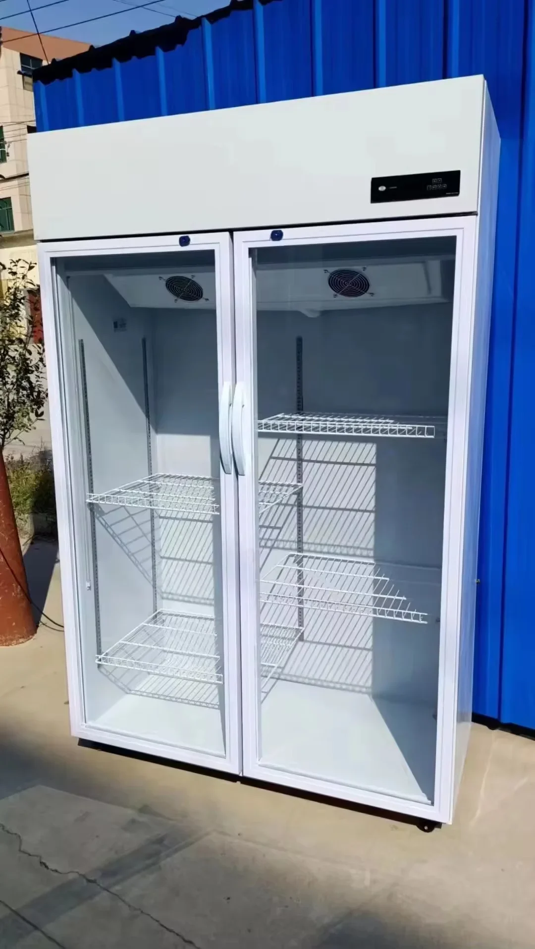 

#2 or 3 glass door displays for florists for air cooler and refrigeration