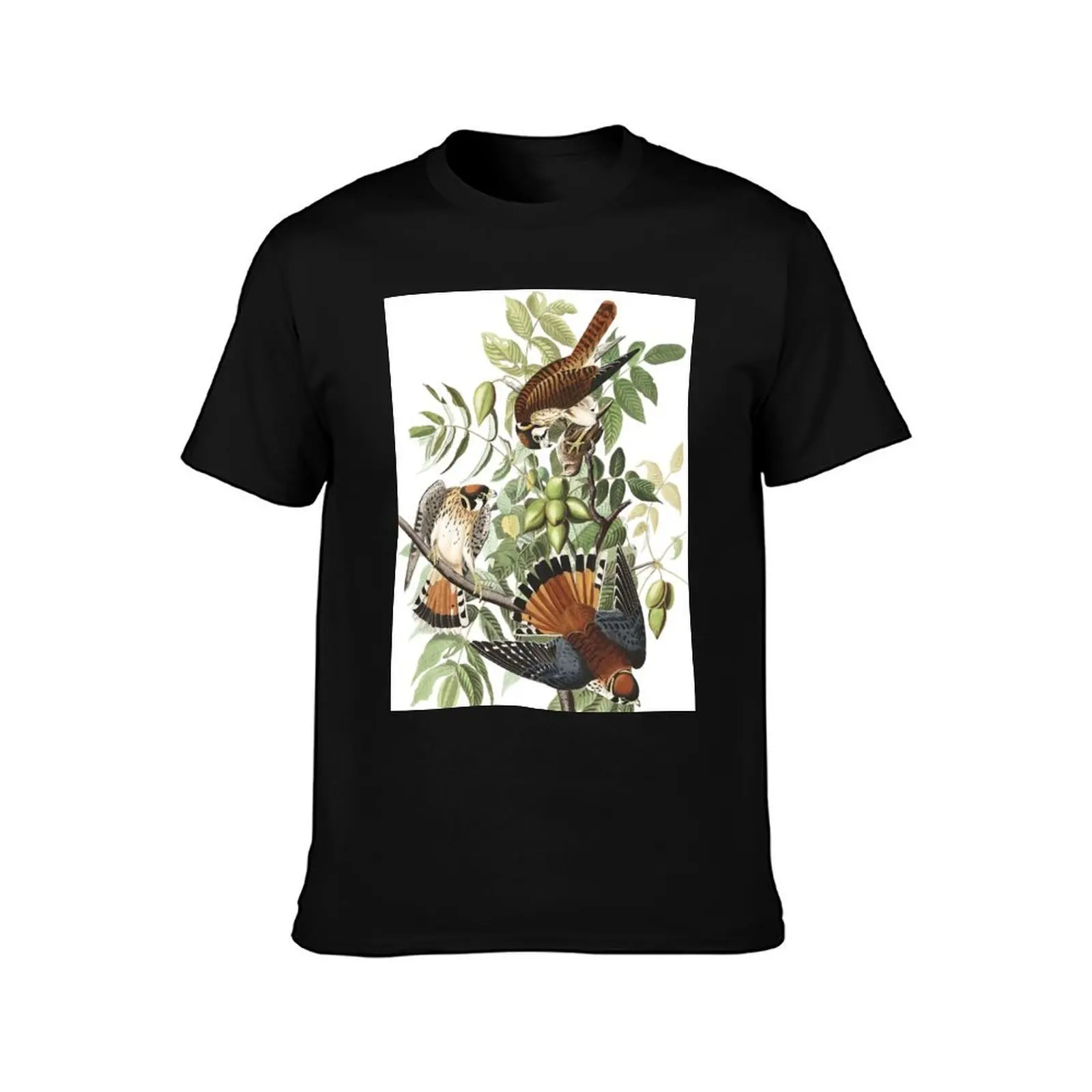 American Kestrel - John James Audubon T-Shirt clothes boys animal print customs clothes for men