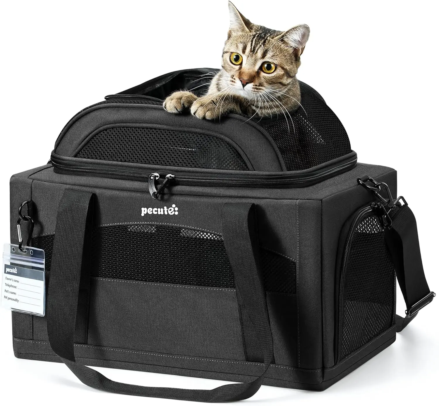 

Expandable Pet Carrier Airline Approved, Breathable Soft-Sided with Locking Zippers for Small Dog Cat Travel