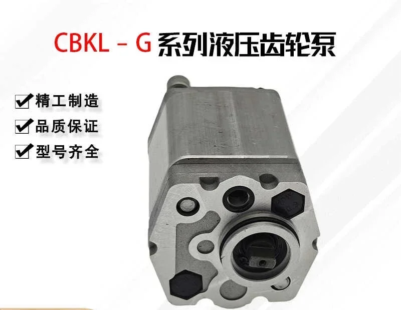 Hydraulische Zahnradpumpe CBKL-G2200BL G2420BL CBKL-G2160 Netzteil Ölpumpe