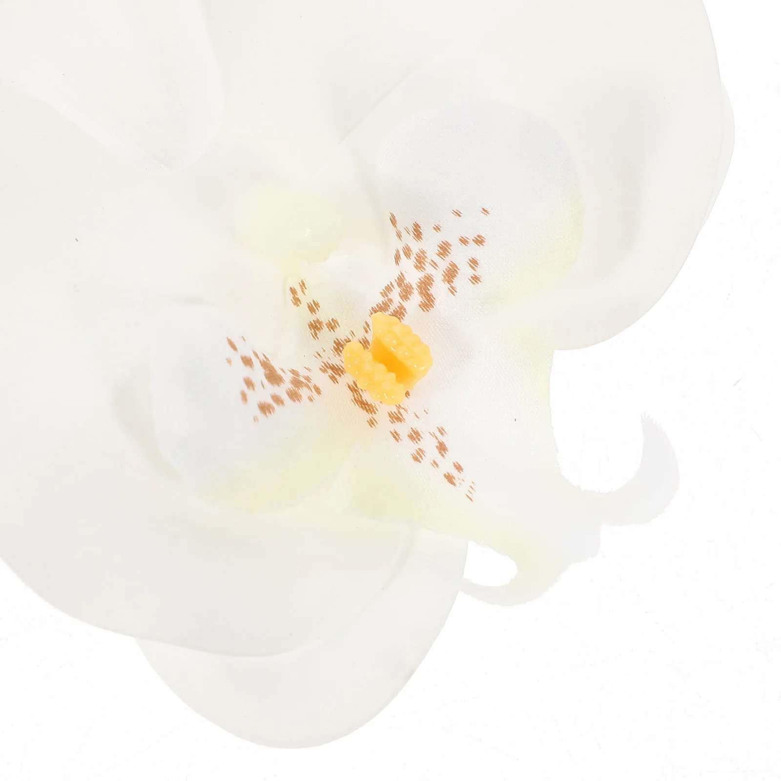 

5pcs Butterfly Orchid Artificial Flower Heads For Diy Crafts Silk Phalaenopsis Mini Flower Heads Wedding Bouquet Hair Decor Clip