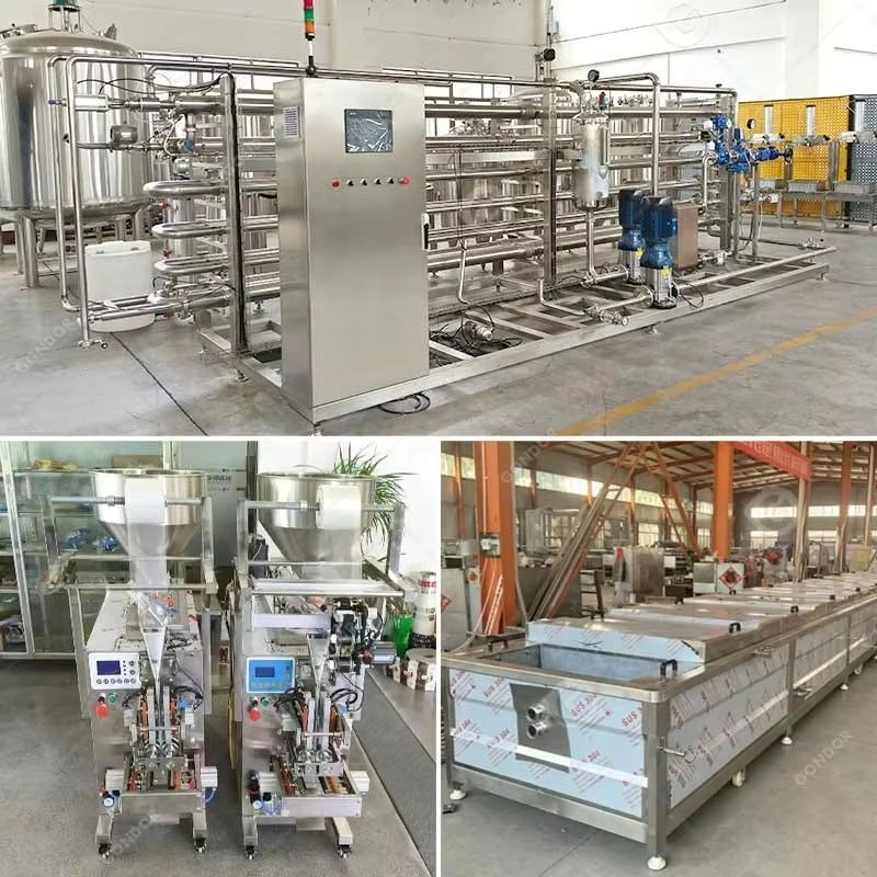 Small Concentrated Tomato Paste Sauce Processing Plant Preparation Production Line Sale Factory Direct Accept Custom