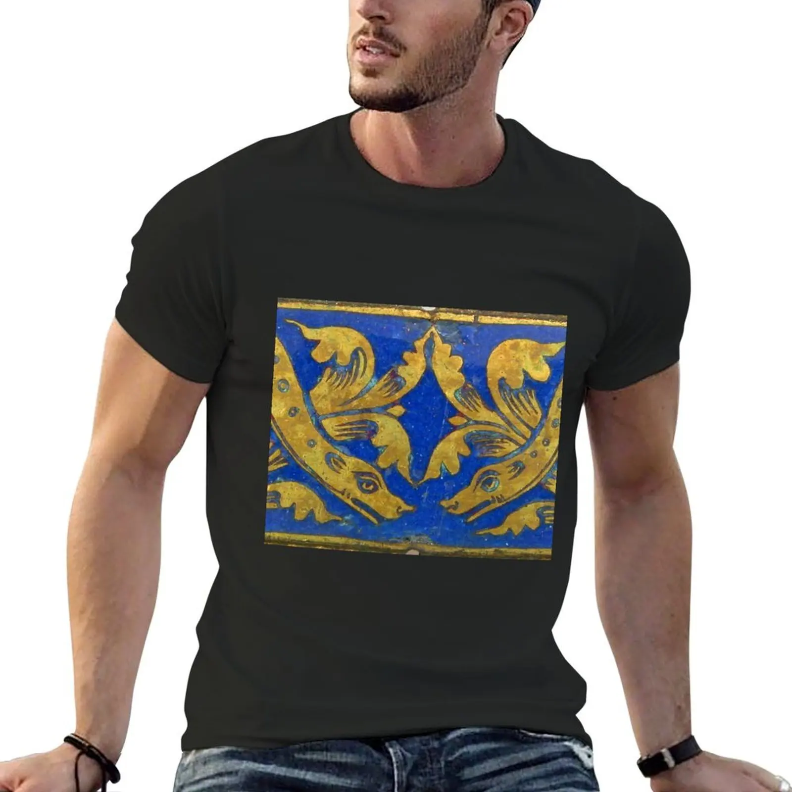 Medieval Plaque T-Shirt plain plus size clothes mens t shirts