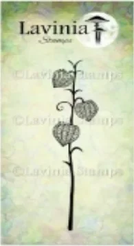 Halloween Climbing …