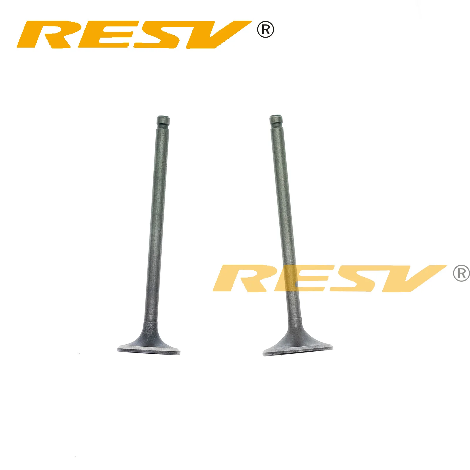 RESV for Suzuki Shogun 110 110cc SUZUKI 110 110CC Valve Intake Exhaust Stem Valve Oil Seal