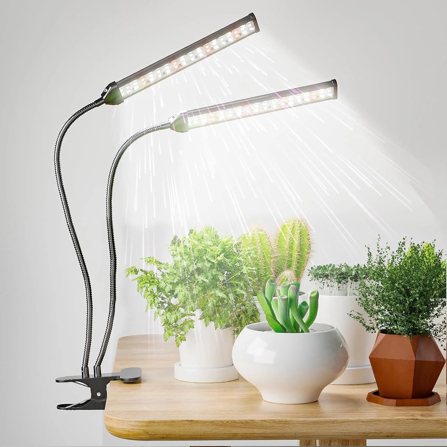 Desktop Clip LED Plant Growth Light USB 5V 144Leds 6000K Dimming Timing Control Indoor Hydroponics Flower Seedlings Plant Lamp