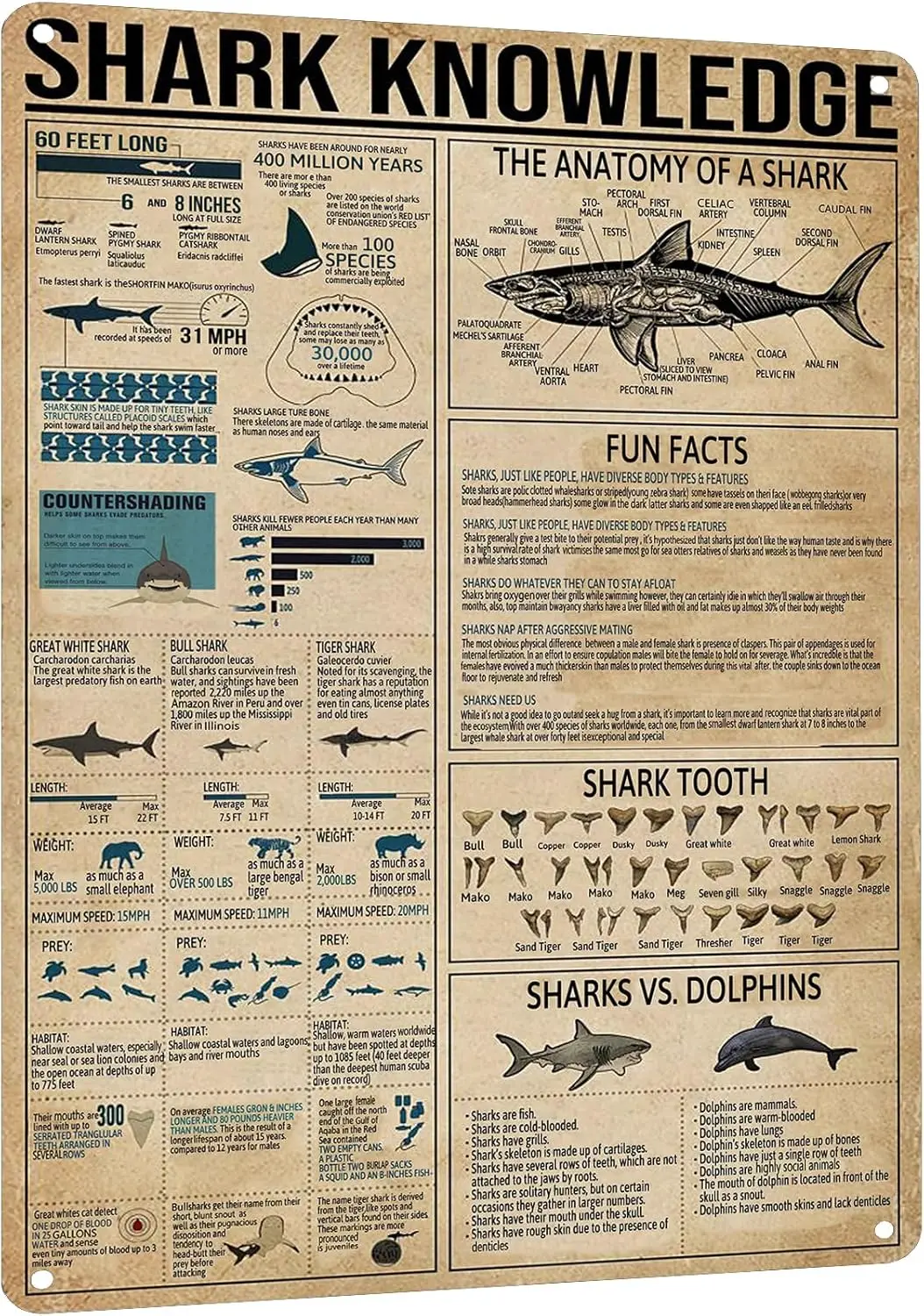 1R,Hyblom Shark Kno…