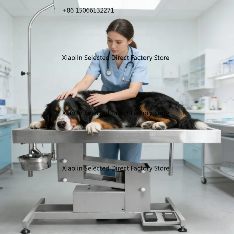 

Factory Direct Stainless Steel Pet Operating Table Eco-Friendly Electrical Operation Table