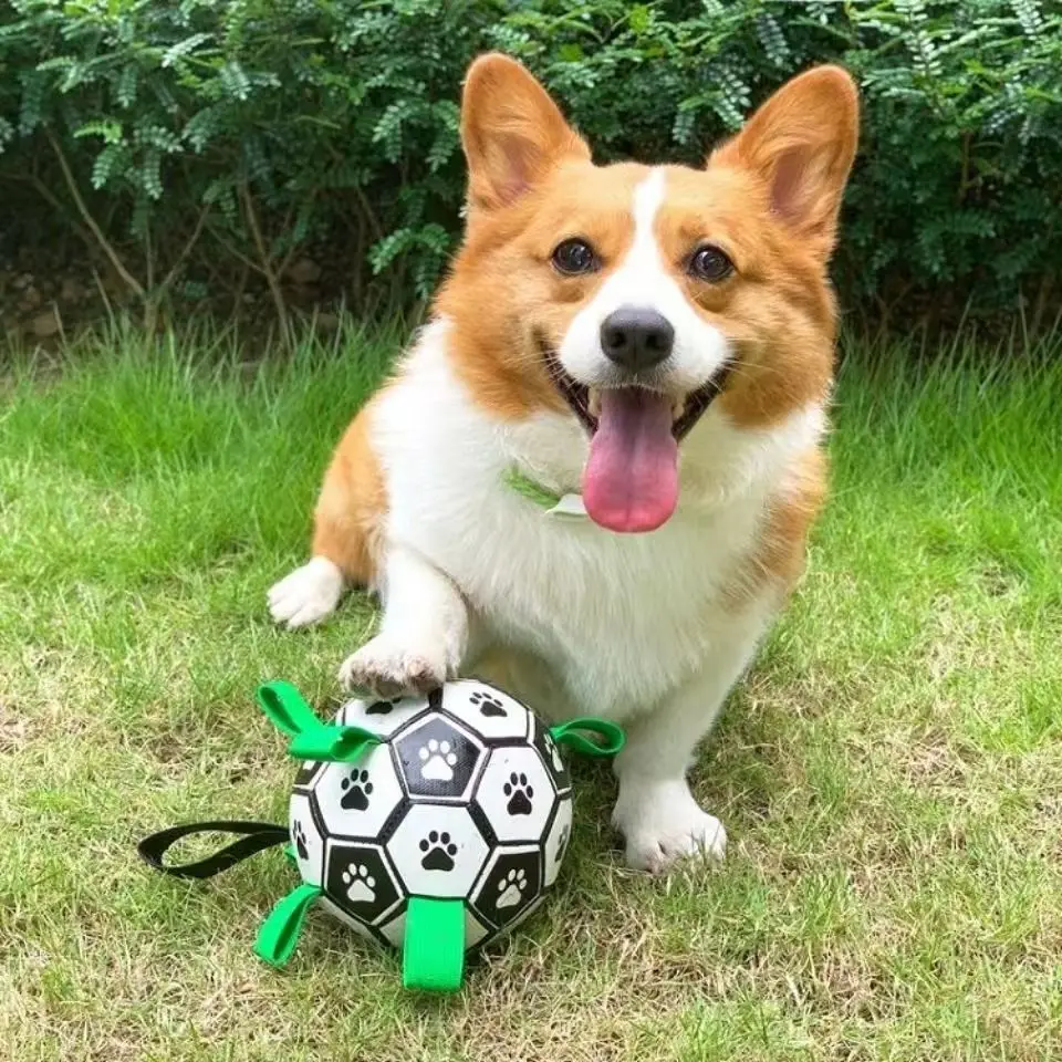 

Dog toys to relieve boredom Bite resistant football corgi dogs Small, medium and large interactive artifact pet ball