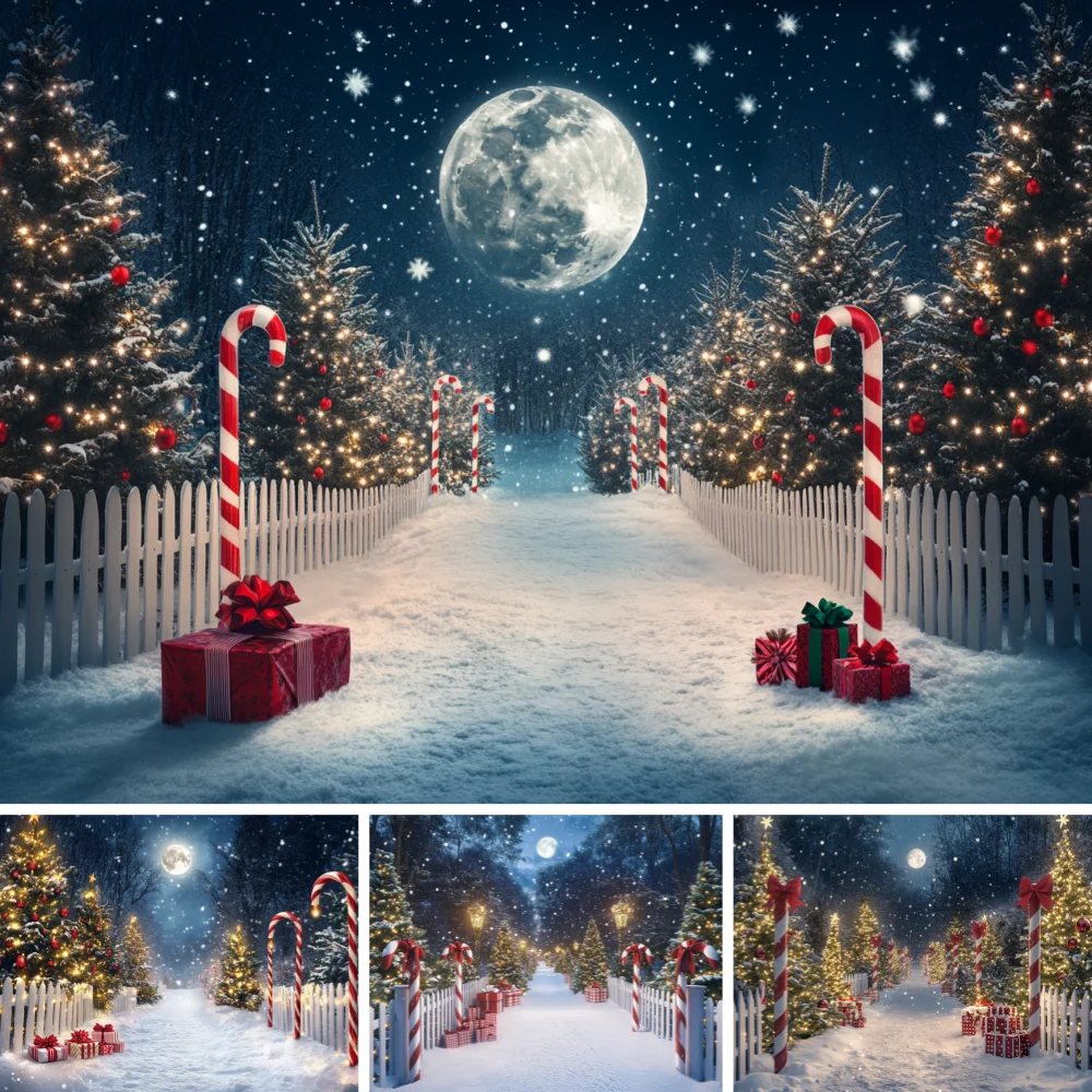 Photography Backdrop Christmas Park Arch Wreath Decoration Family Xmas Holiday Portrait Photo Background For Photograph