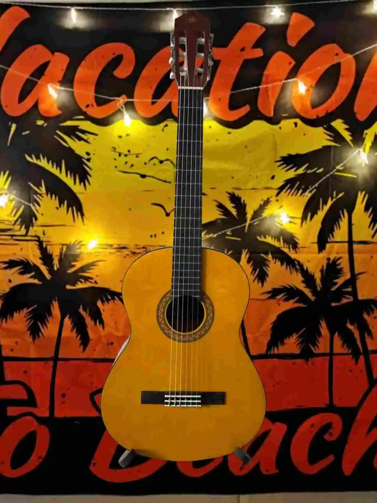 

C40 Acoustic Guitar 41 Inch Spruce Solid Top Rosewood Fingerboard Warm Balanced Tone Beginners Leveling Exercises Beginner