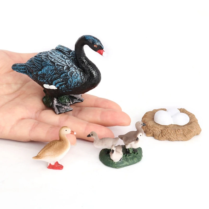 5 Sets Simulation Animals Life Growth Cycle Model,Poultry Statue Figures Toys Children Educational Cognitive Toys