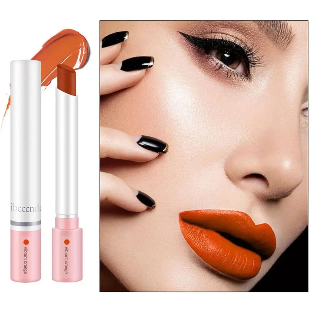 4pcs/Box Cigarette Shape Lipstick Matte Waterproof Matt Long-lasting Smoke Tube Lipstick Velvet Lip Tint Makeup