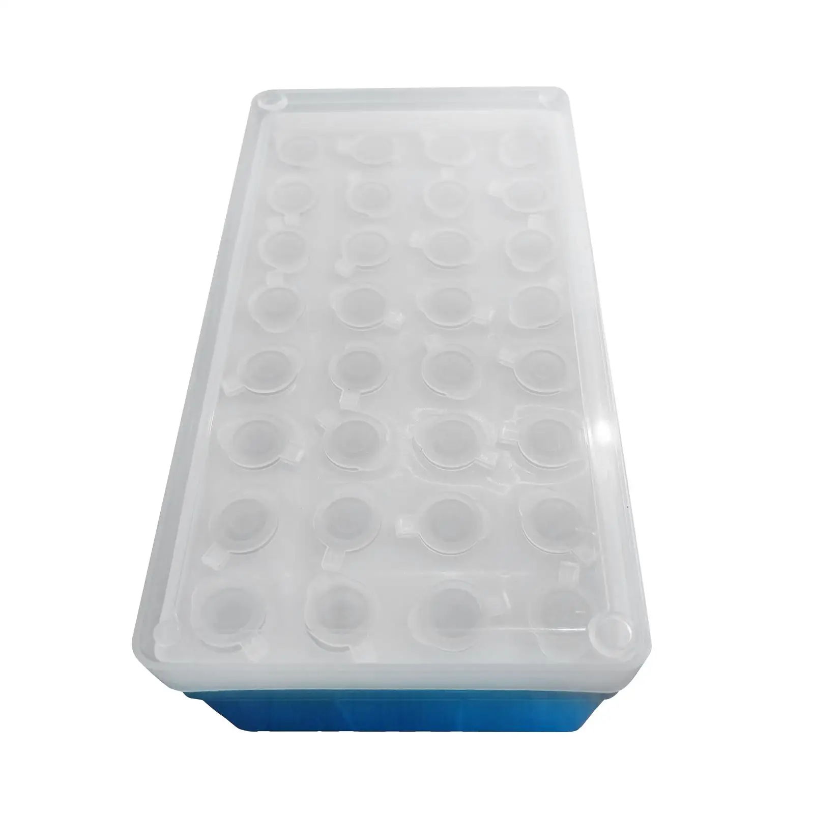 Plastic Storage Box Test Tube Organizer Container Display Seeds Bead