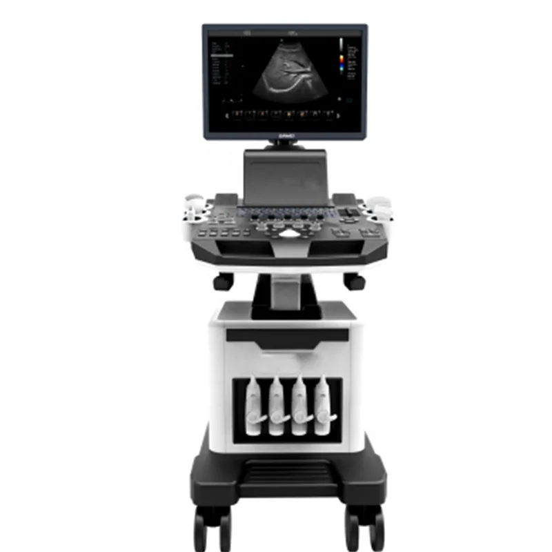 

Veterinary Ultrasound For Pet Animals Cat Dog Portable Laptop Type Scanner Machine