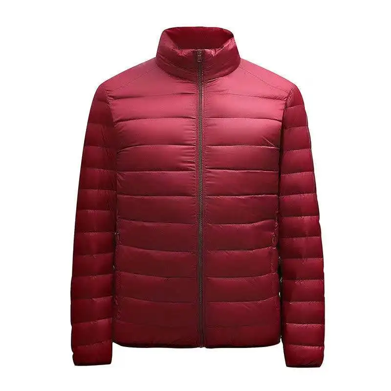 Fashion casual down jacket